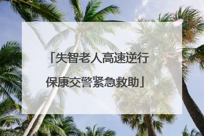 失智老人高速逆行 保康交警紧急救助
