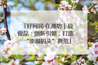 好网民·在潍坊｜夏俊磊：创新引领，打造“幸福码头”典范