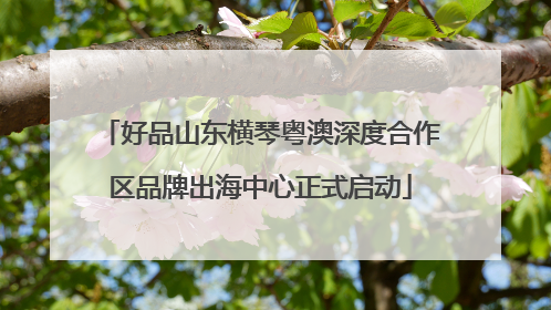 好品山东横琴粤澳深度合作区品牌出海中心正式启动