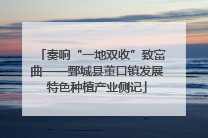 奏响“一地双收”致富曲——鄄城县董口镇发展特色种植产业侧记