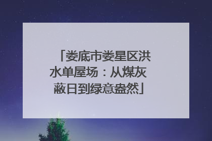 娄底市娄星区洪水单屋场：从煤灰蔽日到绿意盎然