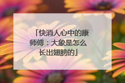 快消人心中的康师傅：大象是怎么长出翅膀的