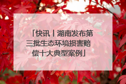 快讯丨湖南发布第三批生态环境损害赔偿十大典型案例