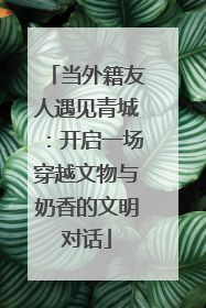 当外籍友人遇见青城：开启一场穿越文物与奶香的文明对话