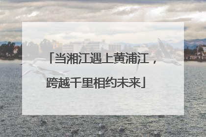 当湘江遇上黄浦江，跨越千里相约未来