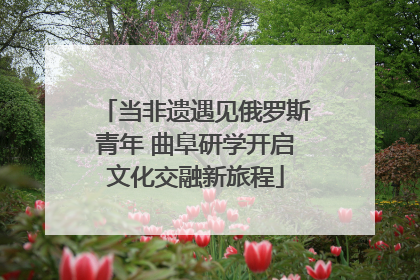 当非遗遇见俄罗斯青年 曲阜研学开启文化交融新旅程