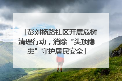 彭刘杨路社区开展危树清理行动，消除“头顶隐患”守护居民安全