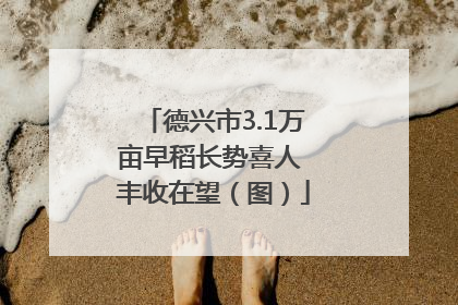 德兴市3.1万亩早稻长势喜人 丰收在望（图）