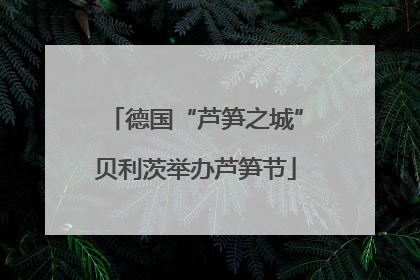 德国“芦笋之城”贝利茨举办芦笋节