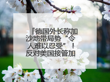 德国外长称加沙地带局势“令人难以忍受”！反对美国接管加沙地带的想法