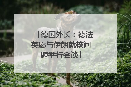德国外长：德法英愿与伊朗就核问题举行会谈