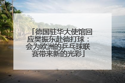 德国驻华大使馆回应樊振东赴德打球：会为欧洲的乒乓球联赛带来新的光彩