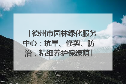 德州市园林绿化服务中心：抗旱、修剪、防治，精细养护保绿荫