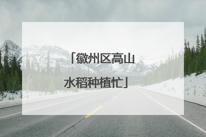 徽州区高山水稻种植忙