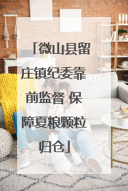 微山县留庄镇纪委靠前监督 保障夏粮颗粒归仓