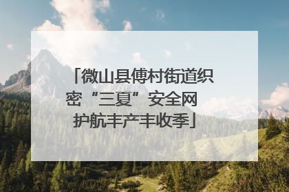 微山县傅村街道织密“三夏”安全网 护航丰产丰收季
