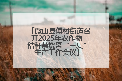 微山县傅村街道召开2025年农作物秸秆禁烧暨“三夏”生产工作会议