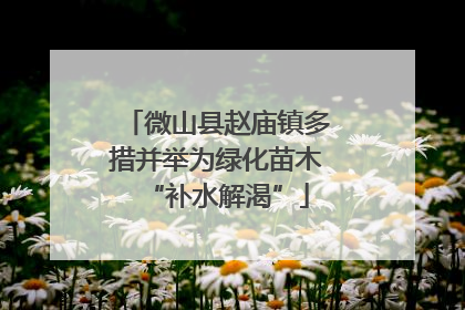 微山县赵庙镇多措并举为绿化苗木“补水解渴”