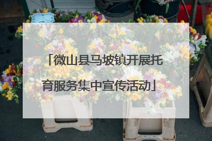 微山县马坡镇开展托育服务集中宣传活动