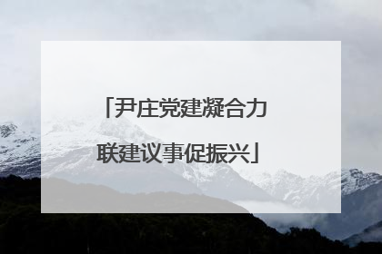 尹庄党建凝合力 联建议事促振兴