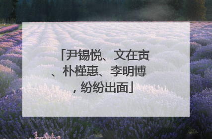 尹锡悦、文在寅、朴槿惠、李明博，纷纷出面