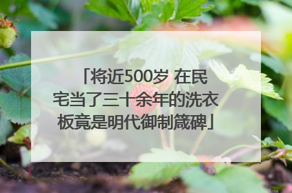 将近500岁 在民宅当了三十余年的洗衣板竟是明代御制箴碑