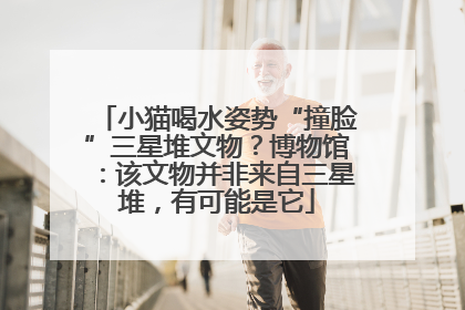 小猫喝水姿势“撞脸”三星堆文物？博物馆：该文物并非来自三星堆，有可能是它