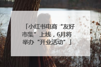 小红书电商“友好市集”上线，6月将举办“开业活动”