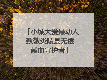 小城大爱最动人 致敬炎陵县无偿献血守护者