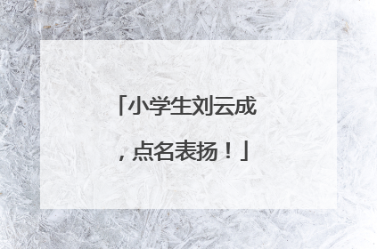 小学生刘云成，点名表扬！