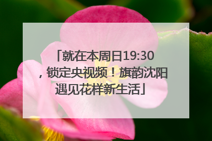 就在本周日19:30，锁定央视频！旗韵沈阳 遇见花样新生活