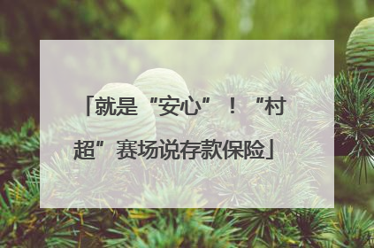 就是“安心”！“村超”赛场说存款保险