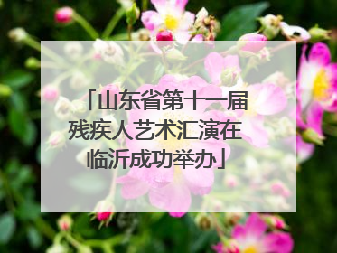 山东省第十一届残疾人艺术汇演在临沂成功举办