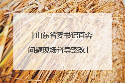 山东省委书记直奔问题现场督导整改