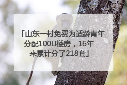 山东一村免费为适龄青年分配100㎡楼房，16年来累计分了218套