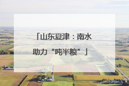 山东夏津：南水助力“吨半粮”