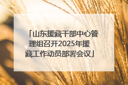 山东援藏干部中心管理组召开2025年援藏工作动员部署会议
