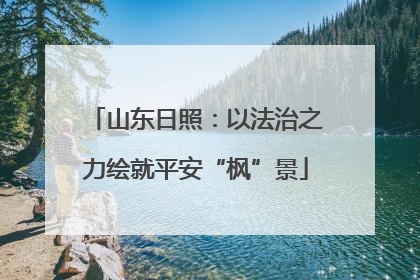 山东日照：以法治之力绘就平安“枫”景