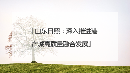 山东日照：深入推进港产城高质量融合发展