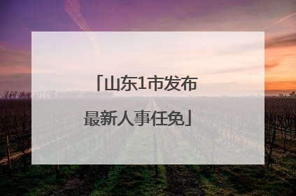 山东1市发布最新人事任免