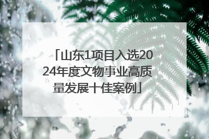 山东1项目入选2024年度文物事业高质量发展十佳案例