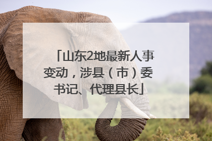山东2地最新人事变动，涉县（市）委书记、代理县长