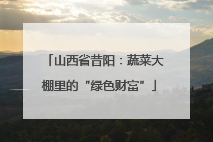 山西省昔阳：蔬菜大棚里的“绿色财富”