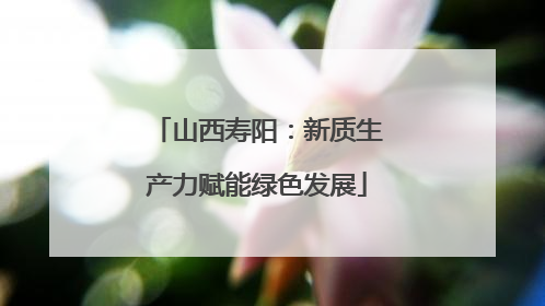 山西寿阳：新质生产力赋能绿色发展