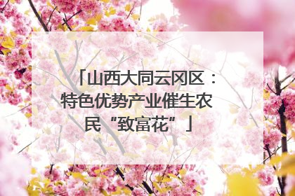 山西大同云冈区：特色优势产业催生农民“致富花”