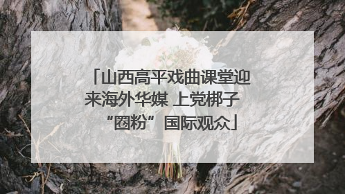 山西高平戏曲课堂迎来海外华媒 上党梆子“圈粉”国际观众