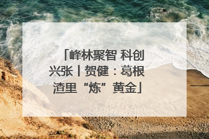 峰林聚智 科创兴张丨贺健：葛根渣里“炼”黄金