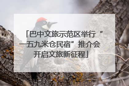 巴中文旅示范区举行“一五九米仓民宿”推介会 开启文旅新征程