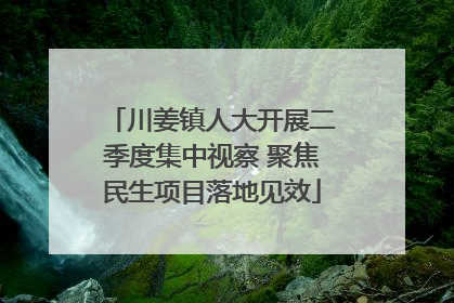 川姜镇人大开展二季度集中视察 聚焦民生项目落地见效
