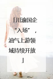 川渝国企“入场”，油气上游领域持续开放